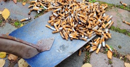 Skovl der skovler cigaretskod op fra jorden